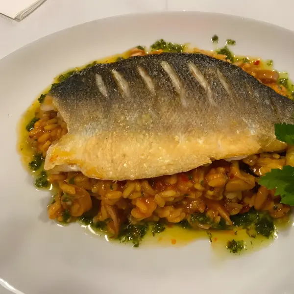 Grilled fish fillet on tomato and vegetable risotto with pesto.